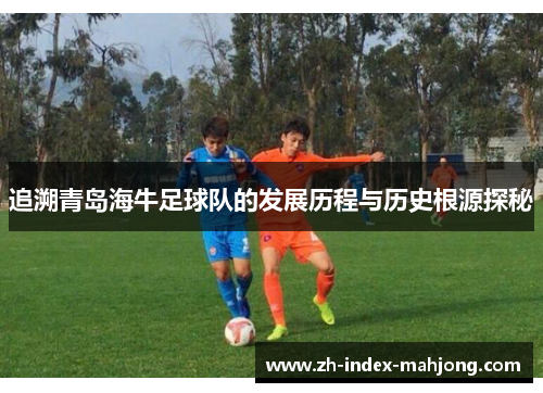 追溯青岛海牛足球队的发展历程与历史根源探秘