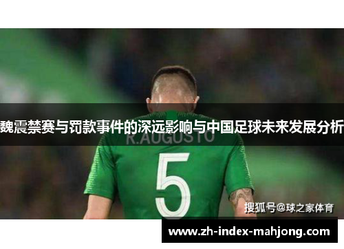 魏震禁赛与罚款事件的深远影响与中国足球未来发展分析